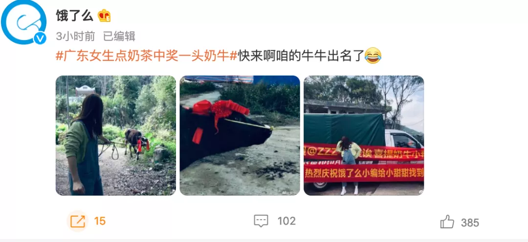 外賣平臺驚喜送奶牛！14萬奶茶消費者中獎背後的行銷策略解析
