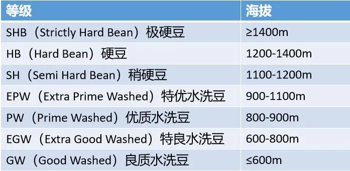 咖啡生豆分級大揭密：從肯尼亞AA到藍山一號的品質解析