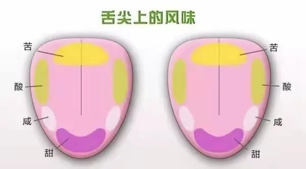 手衝咖啡最佳飲用溫度指南：掌握風味與沖泡溫度的秘訣