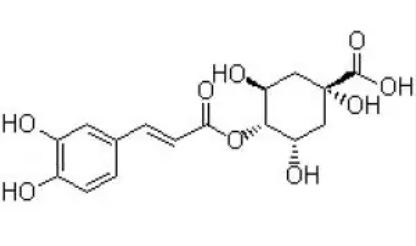 手沖咖啡澀苦味成因解析｜青澀感改善與優質豆推薦