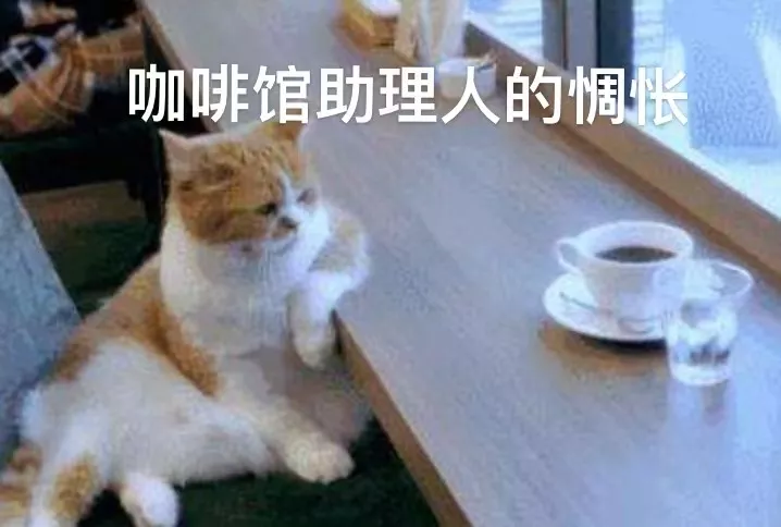 私房咖啡師薪資與招募現況：挑戰、技能與職涯成長全攻略