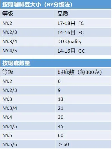 咖啡生豆分級大揭密：從肯尼亞AA到藍山一號的品質解析