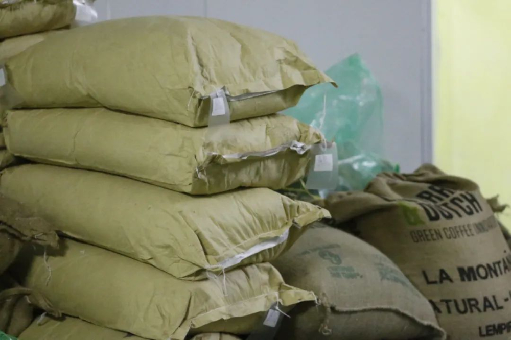 咖啡含昆蟲殘留正常嗎？解析食品法規中的昆蟲容許量標準