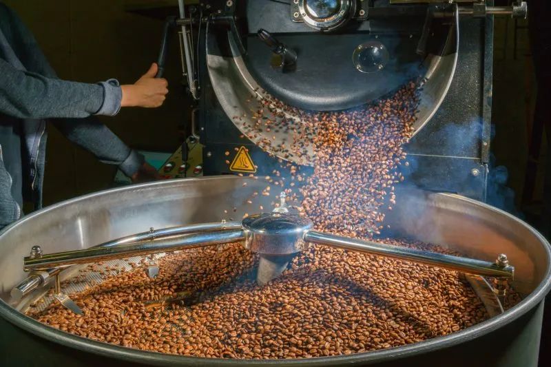 咖啡含昆蟲殘留正常嗎？解析食品法規中的昆蟲容許量標準