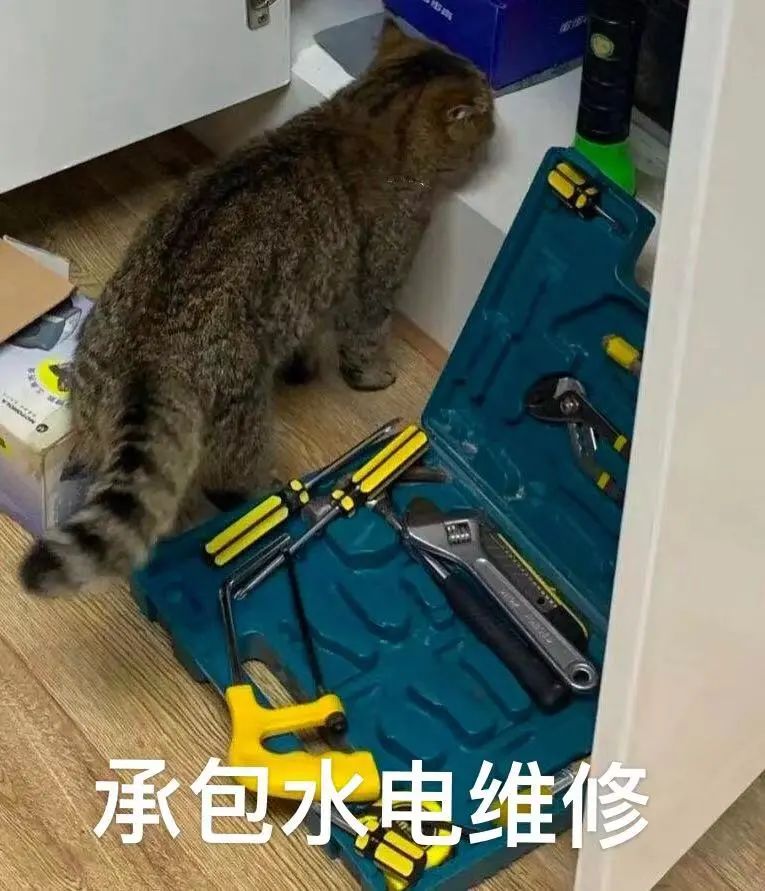 咖啡師低薪真相：小咖啡館職場現場與入行生存指南