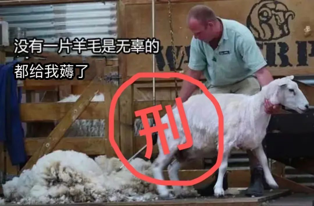 瑞幸低價訂單風波法律解讀:系統漏洞下的消費紅線與平臺責任 瑞幸低價訂單風波法律解讀:系統漏洞下的消費紅線與平臺責任