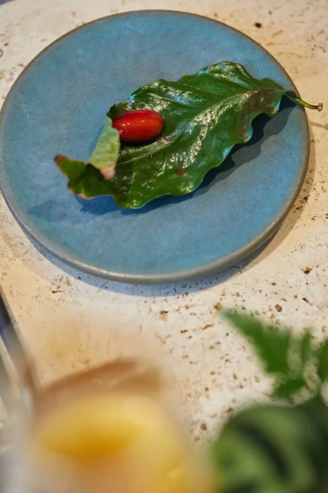 星巴克臺灣 x 米其林餐盤推薦餐廳｜五道在地料理與創意咖啡的饗宴
