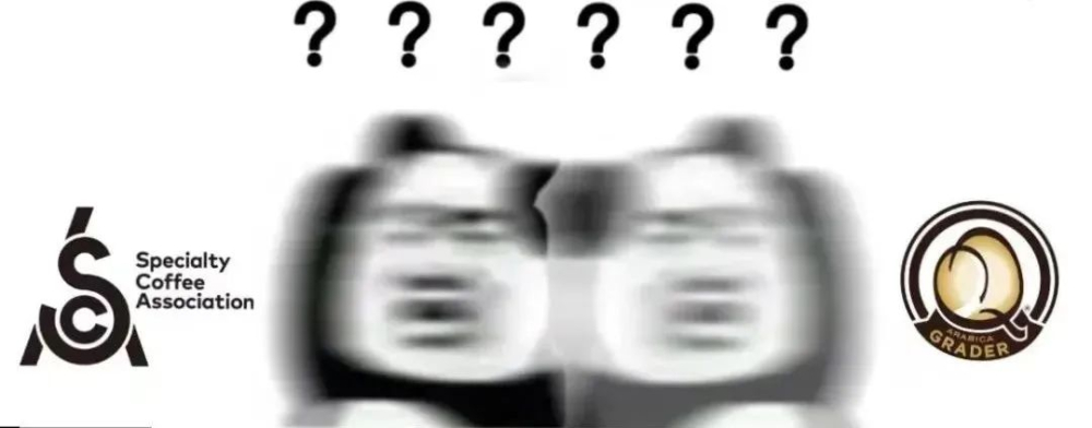 從勸退到入局:咖啡店創業盈利路徑與經營關鍵全梳理 從勸退到入局:咖啡店創業盈利路徑與經營關鍵全梳理