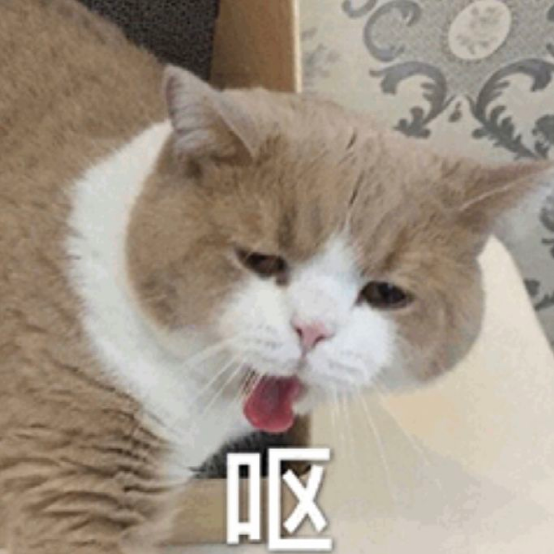 香菜咖啡與香蔥奶茶:創新飲品風潮的嘗鮮與挑戰