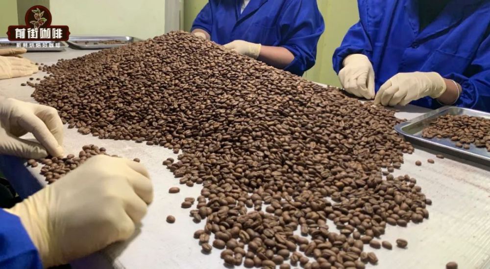 咖啡豆瑕疵辨識指南：從分級到烘焙如何避開風味地雷