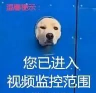 常滑燒濾壺手沖咖啡入門：降低苦味與萃取參數實戰解析