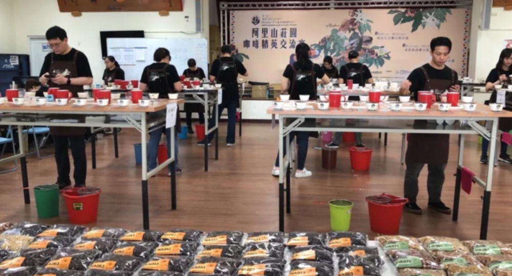 2022阿里山咖啡競標紀錄：日曬豆破52萬，非瑰夏怎超越頂級瑰夏？