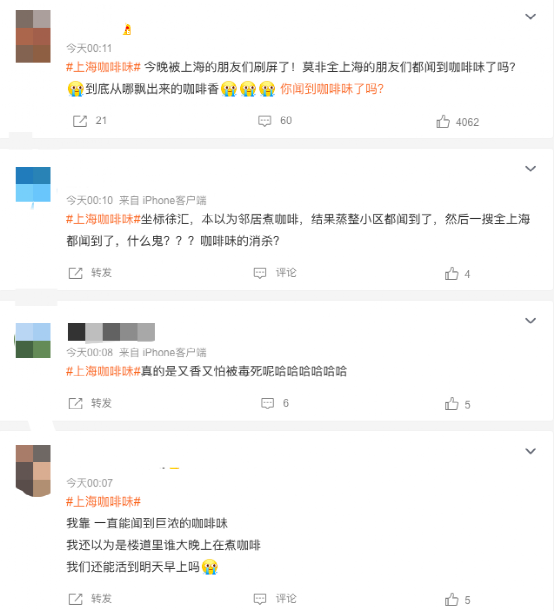 上海夜半飄散神秘咖啡香！源頭調查與風味解析