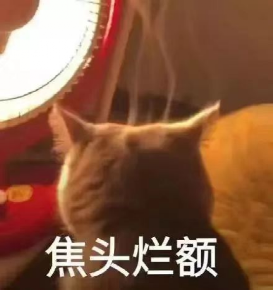 日本咖啡師創意之作：Bear Pond Espresso可食用咖啡棒完整評測