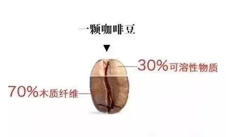 手衝咖啡風味失衡？掌握萃取率與濃度調整技巧，衝出黃金比例