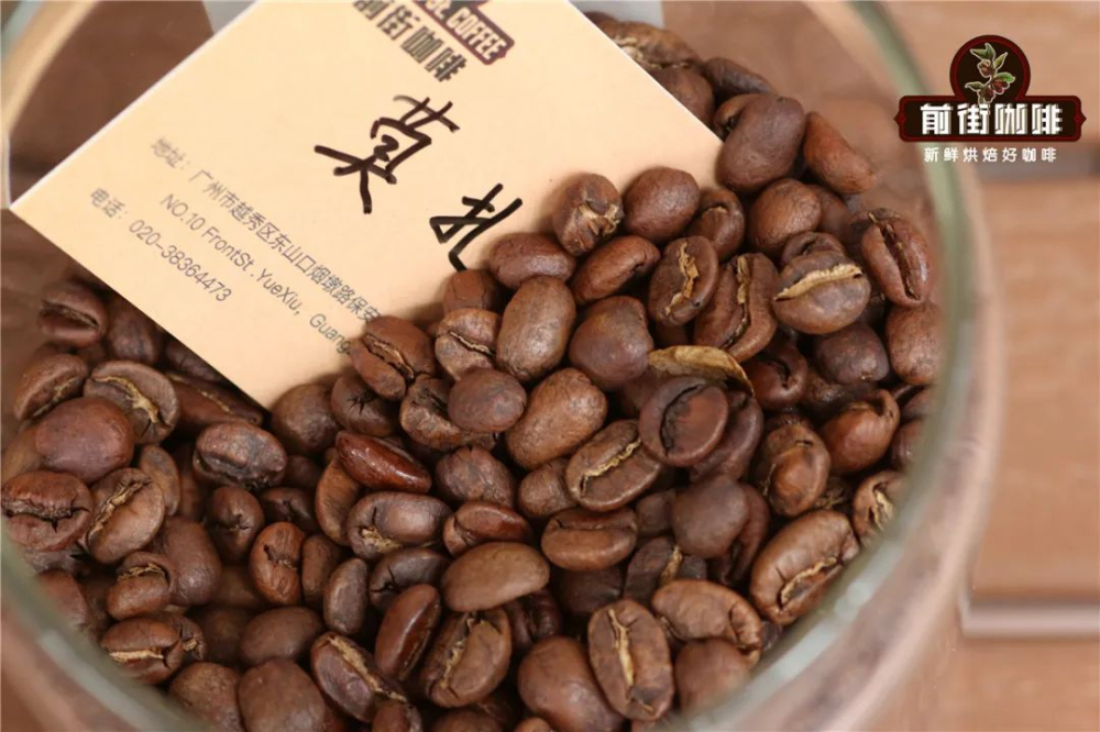 哥斯大黎加莫扎特咖啡手沖攻略：水溫、研磨與蜜處理風味解析
