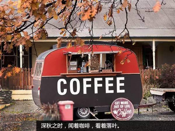 移動咖啡車命名與執照申請全攻略 合法營運關鍵解析