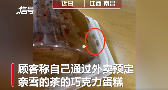 外送甜點藏蟲？奈雪巧克力蛋糕食安風波解析與維權要點