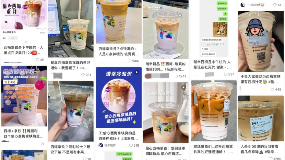 西梅拿鐵引發排便效應？揭開咖啡與乳糖不耐的真相