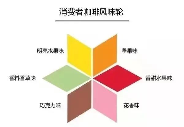 新手必看!手沖咖啡風味描述入門與感官訓練全攻略