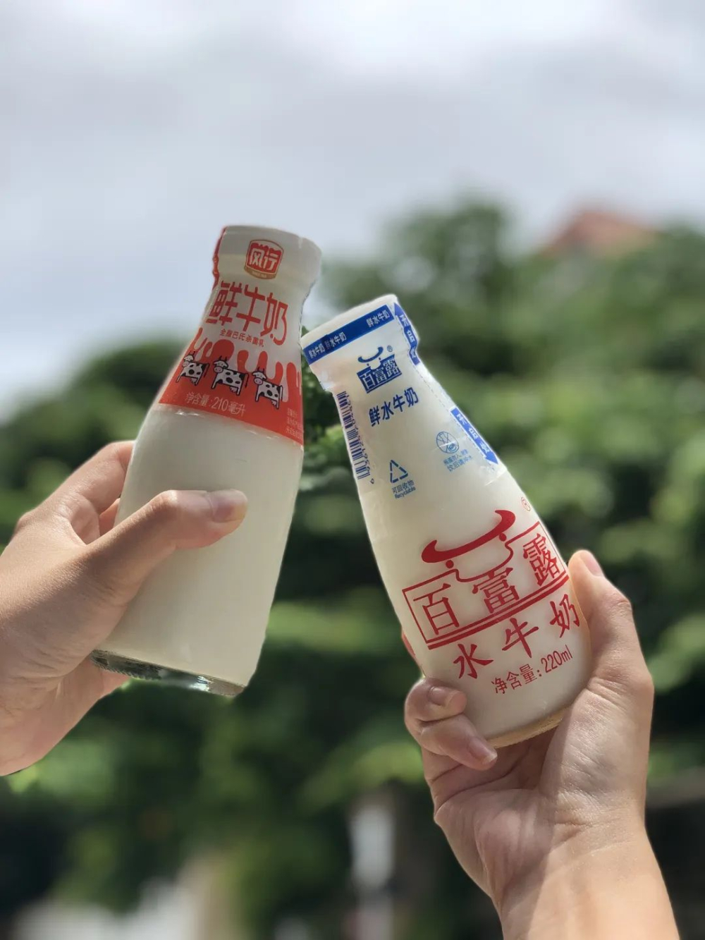 玻璃瓶水牛奶 vs 鮮牛奶咖啡實測:熱拿鐵、Dirty、冰摩卡風味全解析