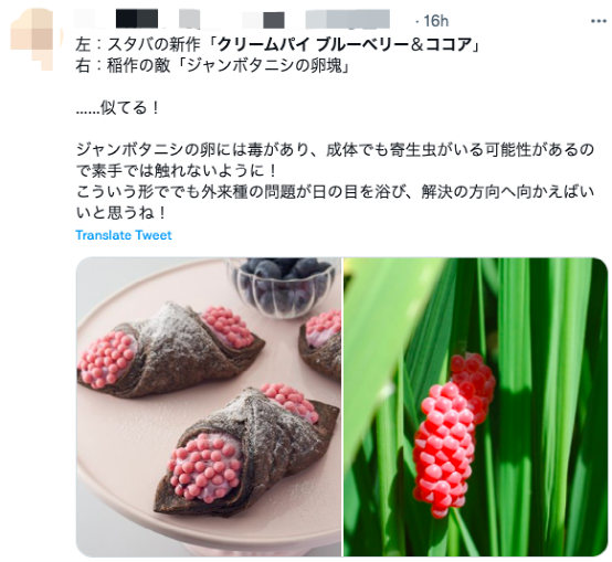 日本星巴克新品外型引討論,網友驚呼神似福壽螺卵與風之谷王蟲