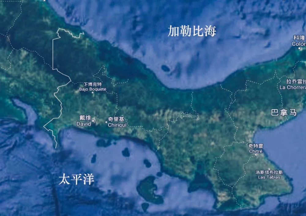 巴拿馬瑰夏咖啡豆品種溯源：波奎特名莊風味特徵與手衝參數全解析