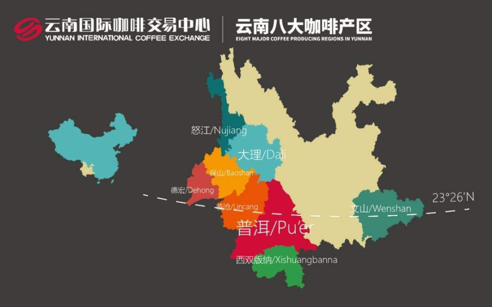 雲南四大咖啡產區全解析：品種、處理法與手沖建議
