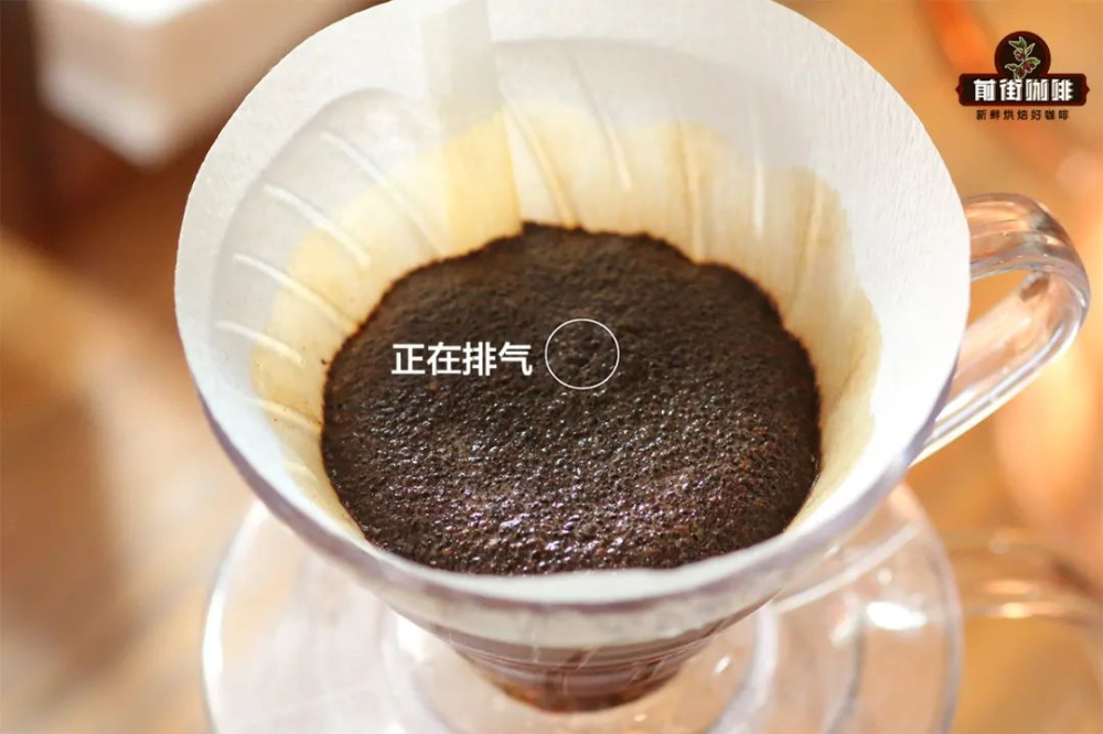 手沖咖啡悶蒸怎麼做？掌握水量、時間與手法提升風味表現