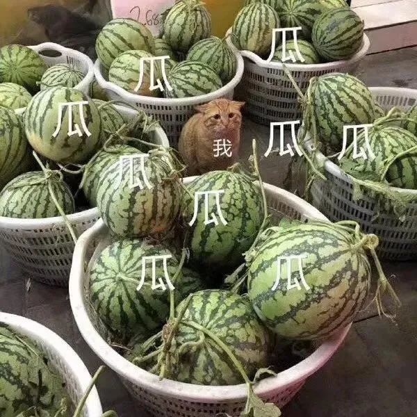 精品咖啡定義解析:從風味到烘焙,你真的瞭解精品咖啡嗎?