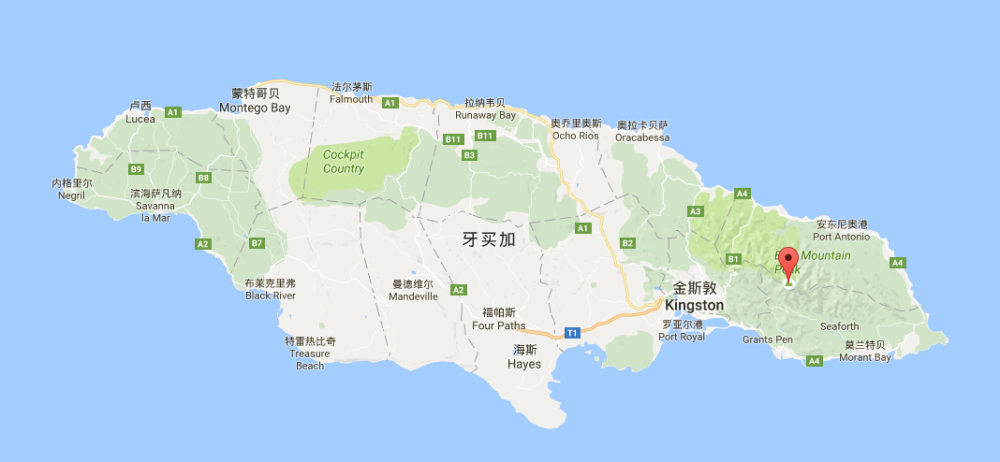 牙買加藍山咖啡入門指南：產區、等級、手沖與意式萃取全解析