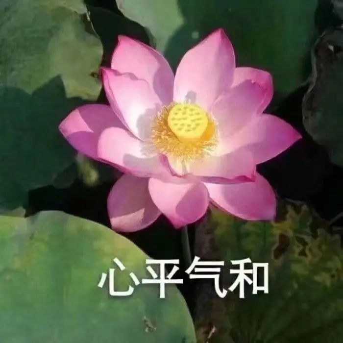 辭職開咖啡館可行嗎？年輕創業者必看的經營現實與生存策略