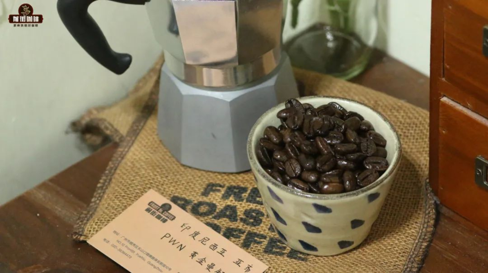 咖啡豆出油正常嗎？從保存技巧到新鮮度判斷全攻略