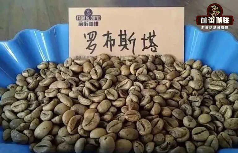 手沖越南羅布斯塔實測：與阿拉比卡差異、萃取參數與風味解析