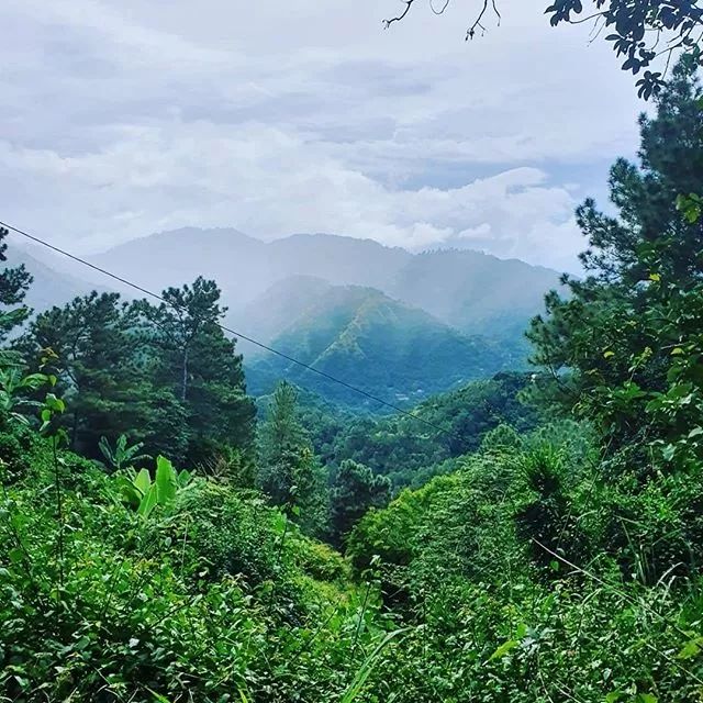 牙買加藍山咖啡豆怎麼買？價格、等級、手沖萃取全解析