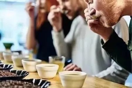 手沖咖啡風味怎麼喝得出？SCAA風味輪與感官科學大揭密