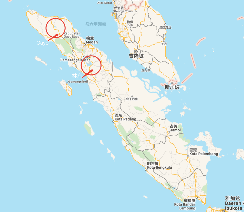 曼特寧草本風味減弱背後原因｜手沖出現雜味怎麼辦？