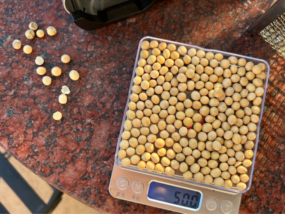 黃豆能當咖啡喝嗎？實測直火烘焙與沖泡技巧，風味差異大揭密