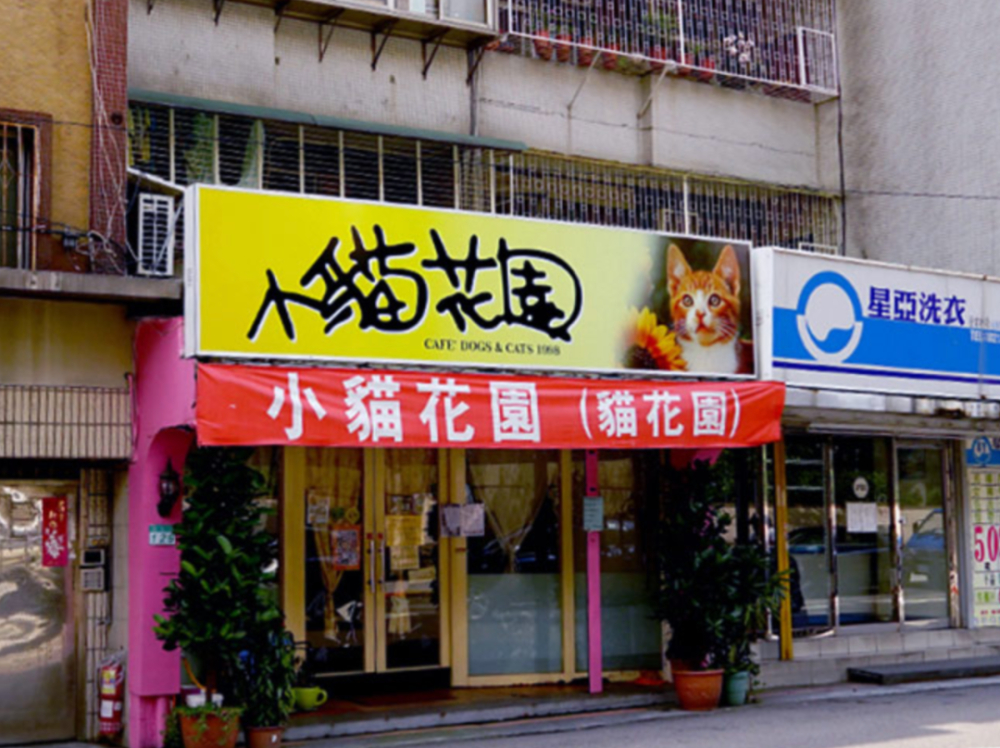 動物咖啡館暗黑面：從貓咖興起到非法野生動物交易的全解析