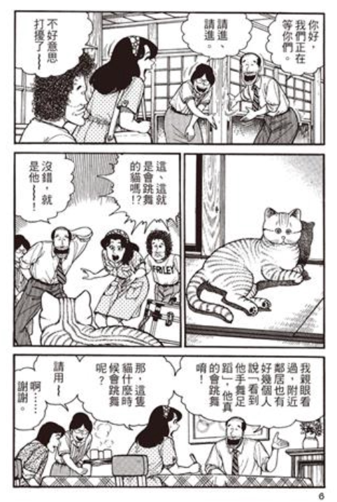 動物咖啡館暗黑面：從貓咖興起到非法野生動物交易的全解析