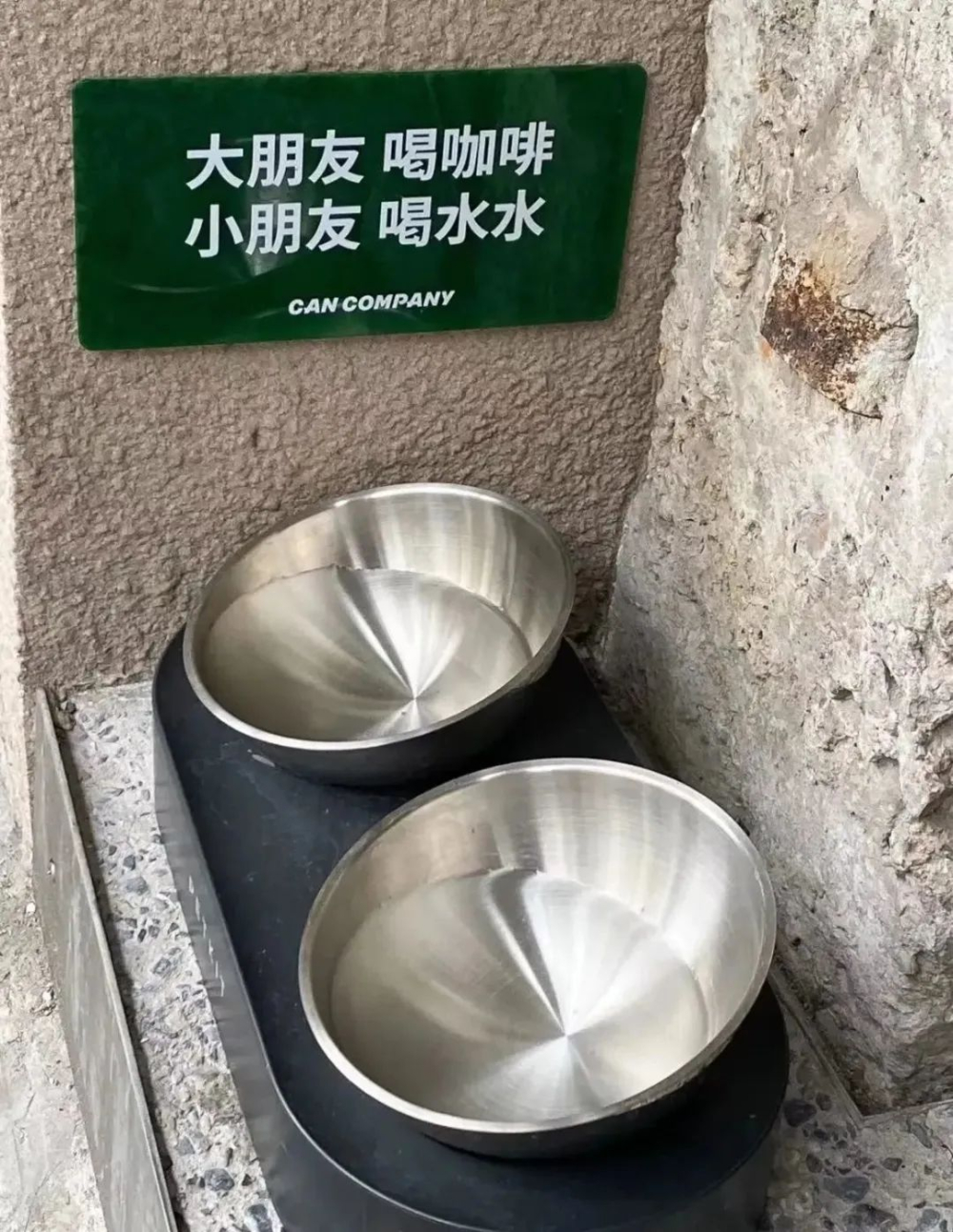 社區咖啡店寵物友善設計：實用指南與顧客體驗提升技巧