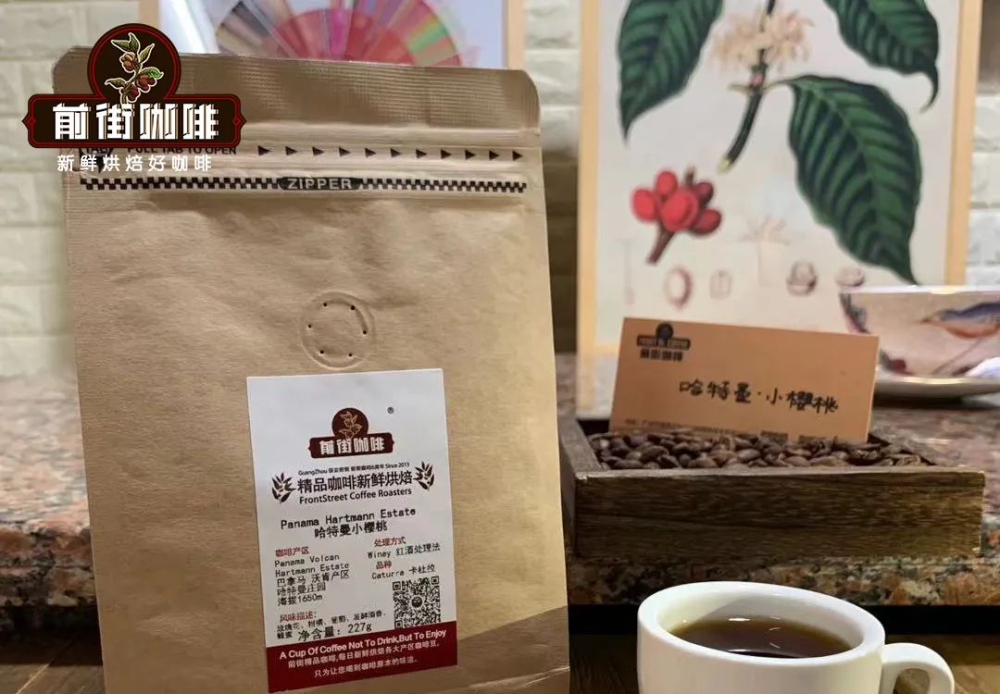 巴拿馬翡翠瑰夏全攻略：紅綠藍標豆差異與沖煮技巧