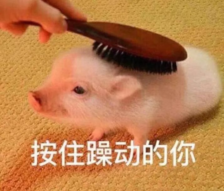 咖啡店加盟費用全解析：品牌選擇與初期投資成本指南