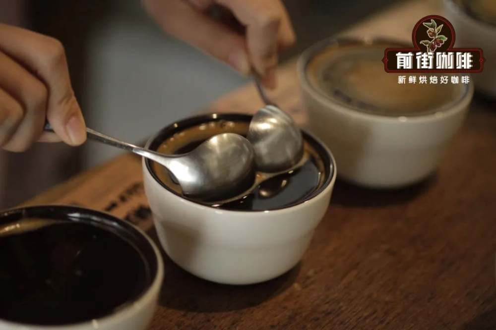 SCAA杯測評分全解析：10大維度教你評鑑精品咖啡風味