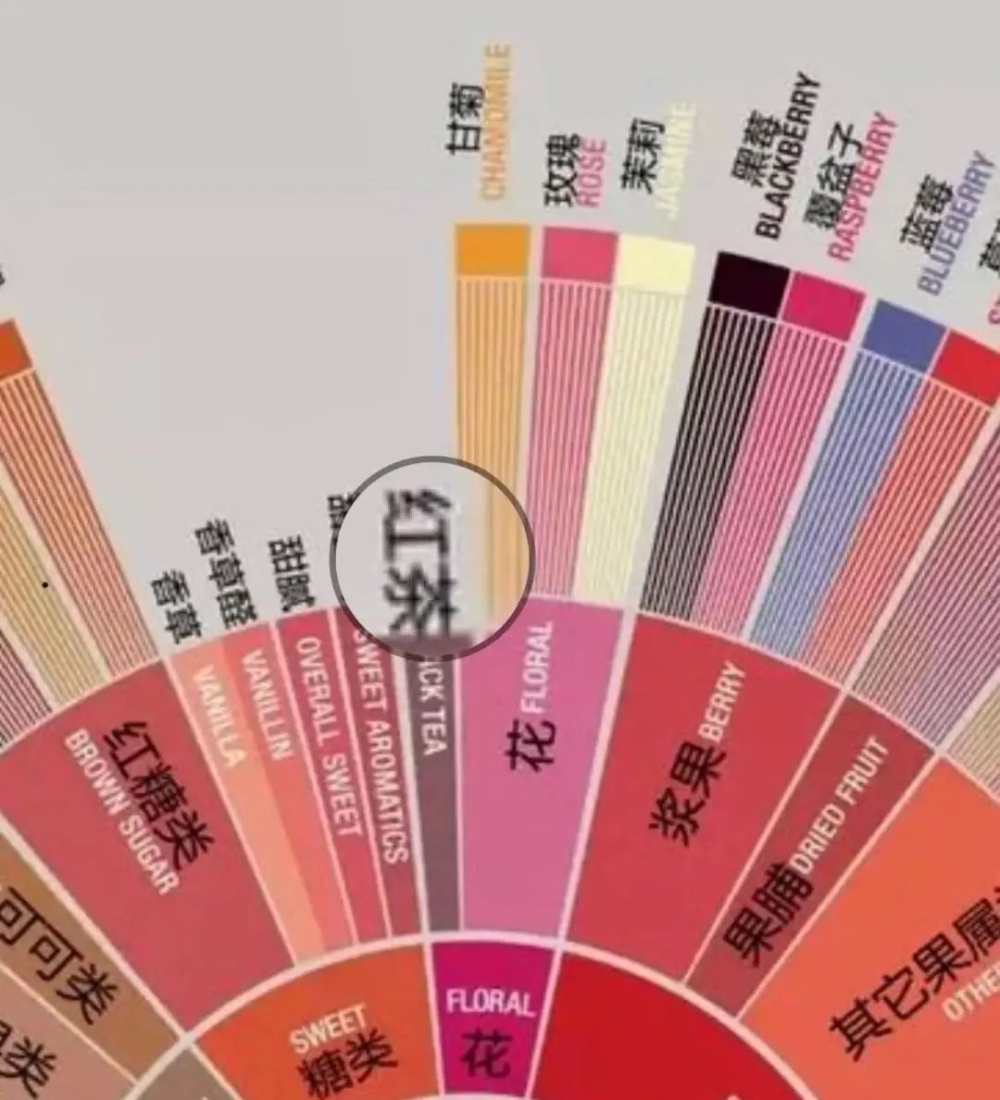 咖啡中的茶感怎麼來？解析澀感、回甘與風味輪差異