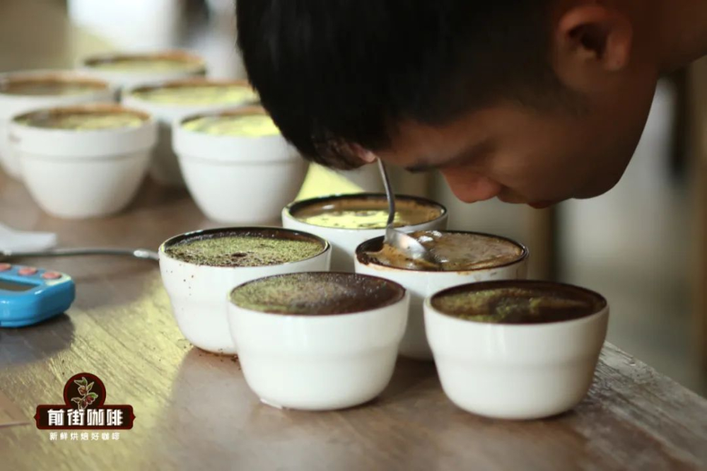 新手必看！SCA與SCAA咖啡杯測表差異解析與標準流程全攻略