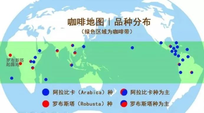羅布斯塔咖啡豆全面解析：從產地起源到與阿拉比卡拼配的風味真相