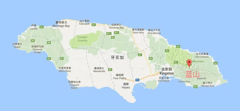 牙買加藍山咖啡產區揭秘與CIB認證全攻略｜手沖咖啡豆選購指南