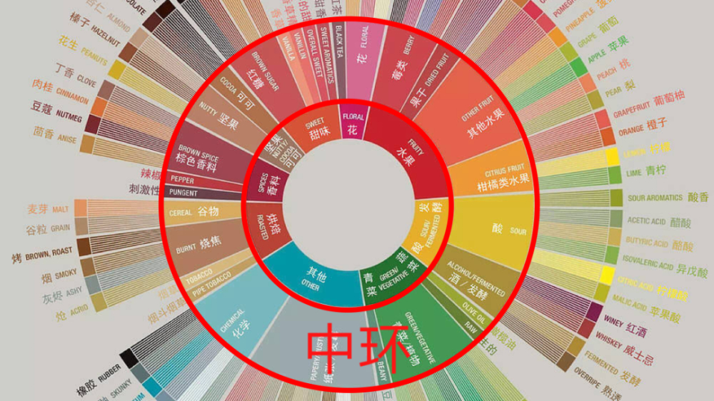 咖啡風味輪全解析：從杯測技巧到風味描述的實用入門指南