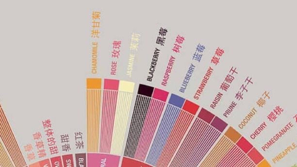 咖啡風味輪全解析：從杯測技巧到風味描述的實用入門指南